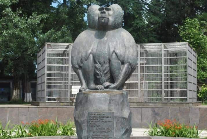 Обезьяний питомник